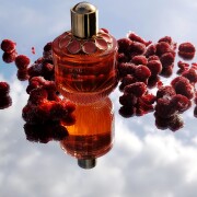 Girl of Now Forever by  Elie Saab for women 1.6FL.OZ