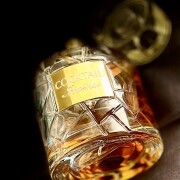 Cocktail Intense Fragrance World for women and men 3.4fl.oz