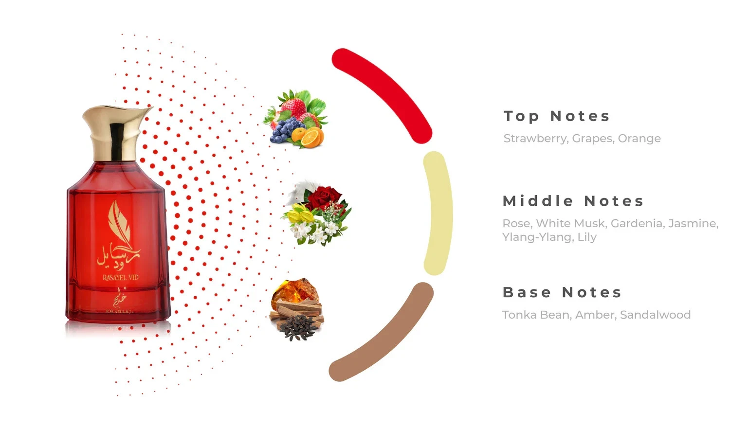 RASAYEL VID 100 ML EAU DE PARFUM SPRAY FOR WOMEN